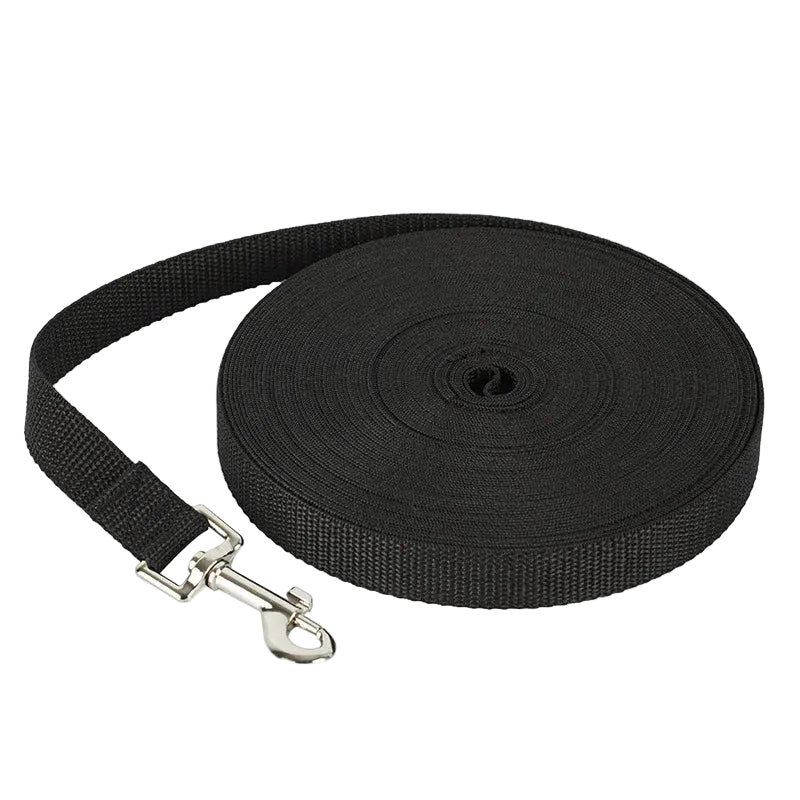 Tejesa Longer Pet Leashes Rope Outdoor Training Running Dog Leash Belt PP Dogs Lead for Chihuahua Small and Large Dog Product