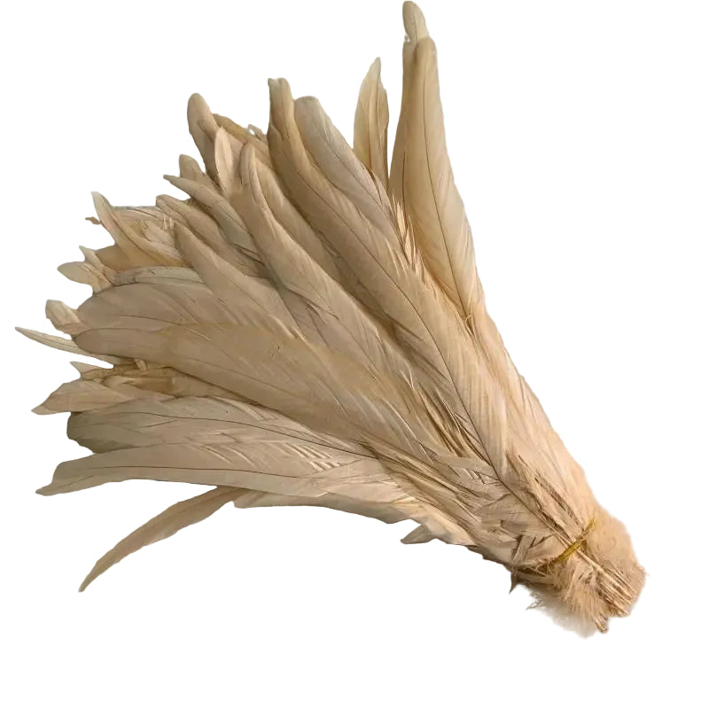 Tejesa  100pcs 30-35CM Rooster Tail Feathers Sky Blue Natural  Plumes Beige DIY Cock Clothing Jewelry Accessories Party