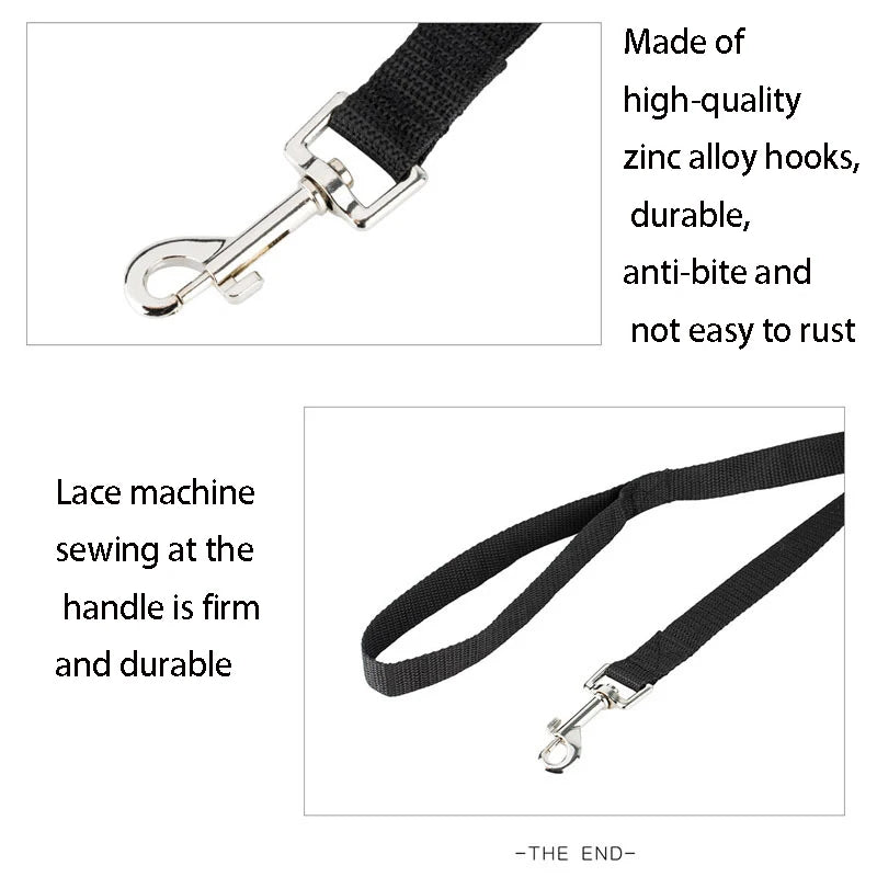 Tejesa Longer Pet Leashes Rope Outdoor Training Running Dog Leash Belt PP Dogs Lead for Chihuahua Small and Large Dog Product