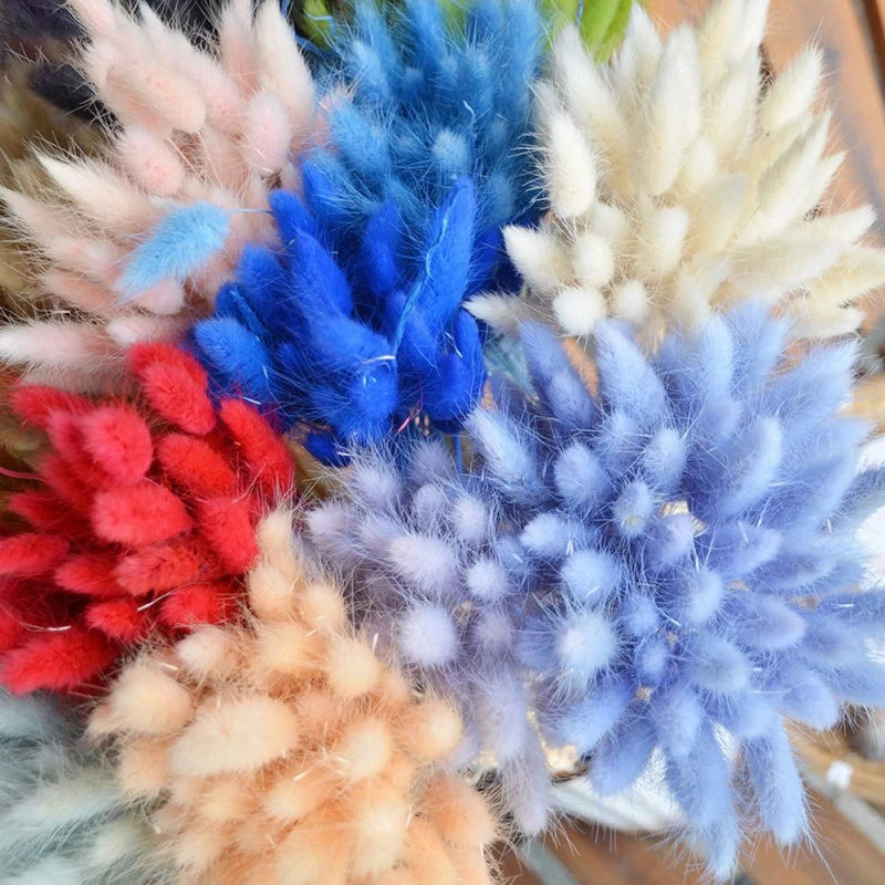 Artificial Natural Material Pastoral Style Bunny Tails Dried Flowers Bouquets  Rabbit Tail Grass Home Wedding Party Decoration