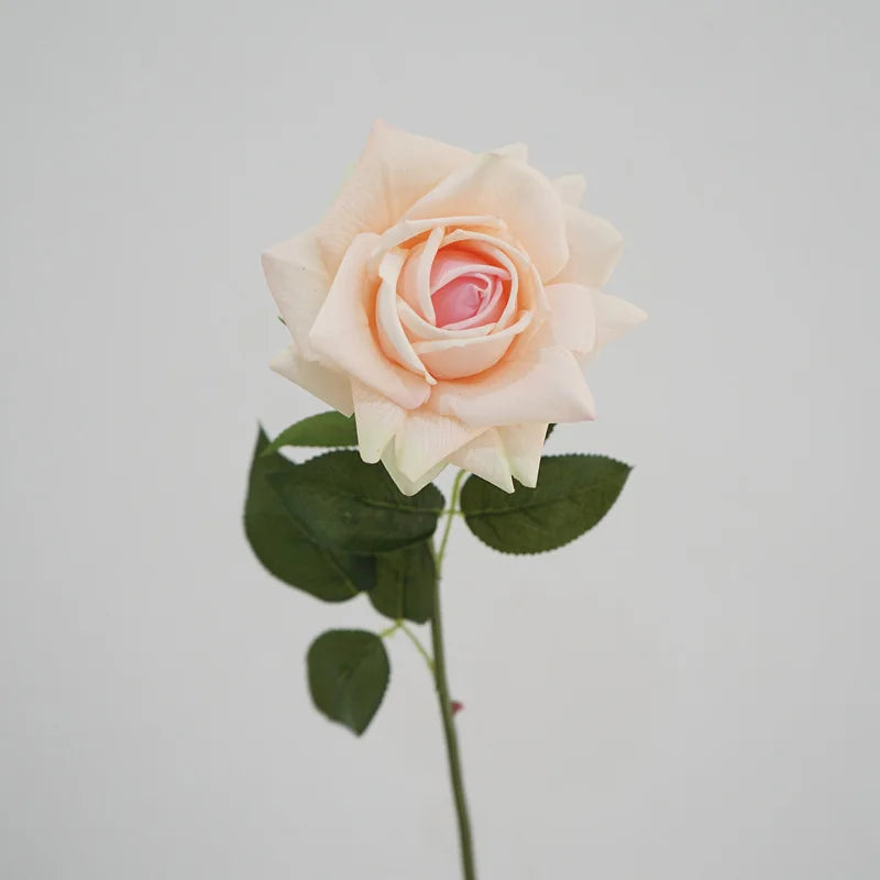 5Pc High-end Feel Moisturizing Big Austin Rose Flower Real Touch Artificial Flowers Rose Wedding Decor Fake Flowers Home Display