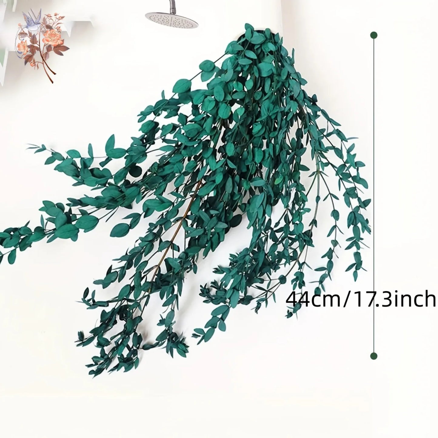 Natural Eucalyptus Leaves Branches Preserved Green Leaf Plant Wedding Party Decoration Eternal Dried Greenery Bundles Home Decor