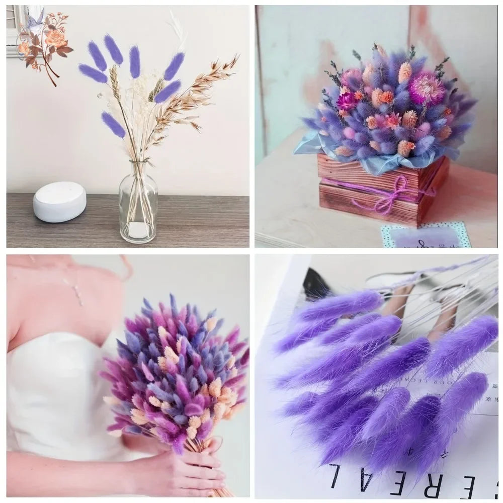 100Pcs Natural Purple Bunny Tails Dried Flowers Bouquet Rabbit Tail Grass Home Wedding Floral Arrangement DIY Craft Decoration