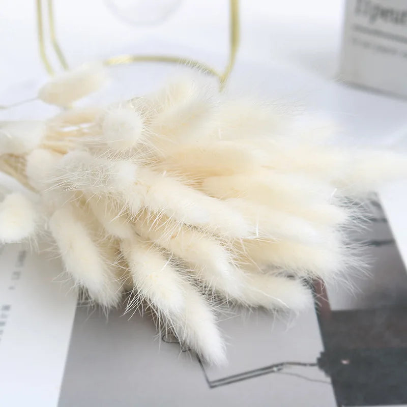 48825463669068