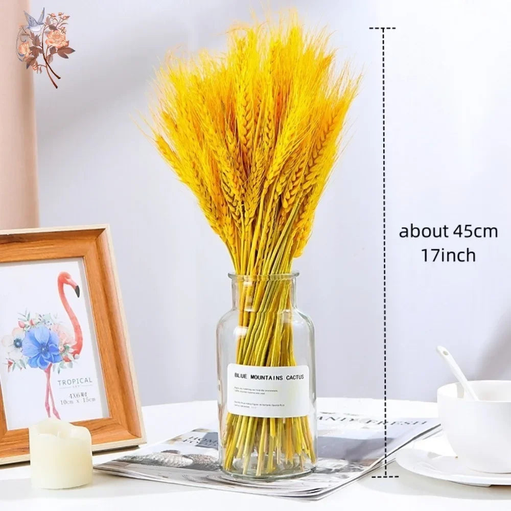 Natural Wheat Ear Dried Flowers Bouquet for Boho Home Decor Real Fleurs Sechees Wedding Party Decoration DIY Photo Prop Supplies