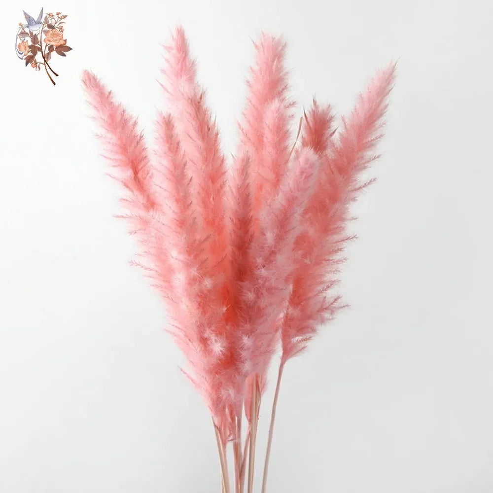 Natural Pink Pampas Grass Dried Flowers Fluffy Bulrush Home Boho Vase Decor Phragmites Reeds Wedding Christmas New Year DIY Gift