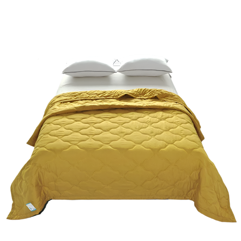Hemasa Quilted summer single double bed light Printed quilt core Air conditioning quilting twin queen size duvet Thin plaid comforter
