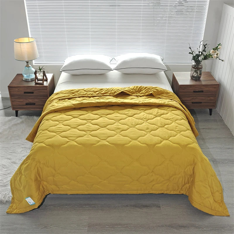 Hemasa Quilted summer single double bed light Printed quilt core Air conditioning quilting twin queen size duvet Thin plaid comforter