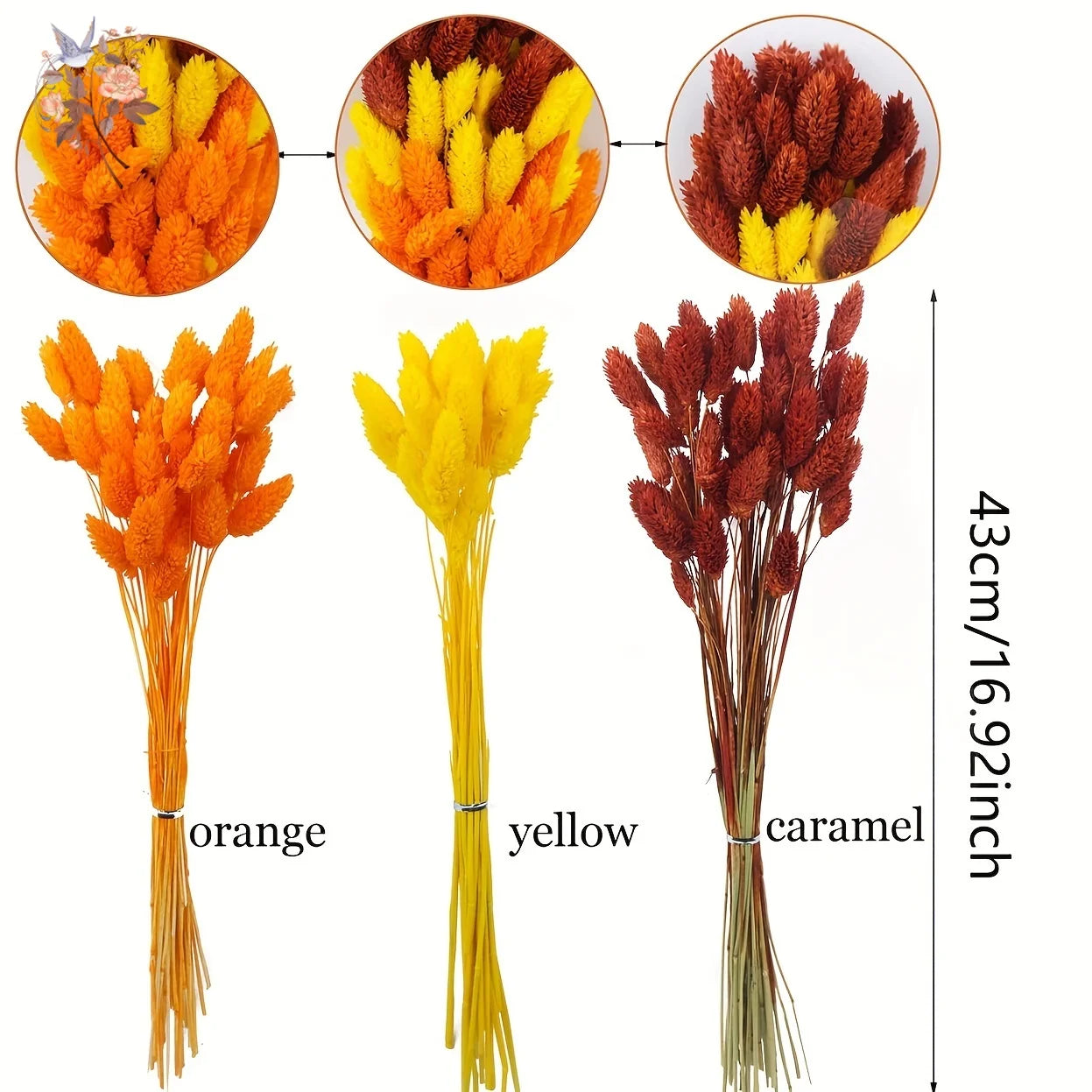 100Pcs Natural Dried Gem Grass Bouquet Jewelry Grass Phalaris Flower for Vase Filler Boho Home Table Wedding Party Decoration