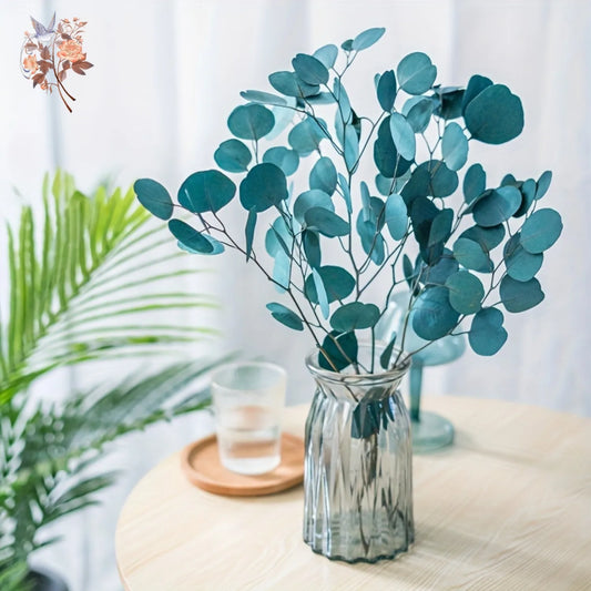 100g Eucalyptus Apple Leaf Natural Dried Flower Round Leaves Real Grass Fresh Plant Bouquets Wedding Home Living Room Decoration