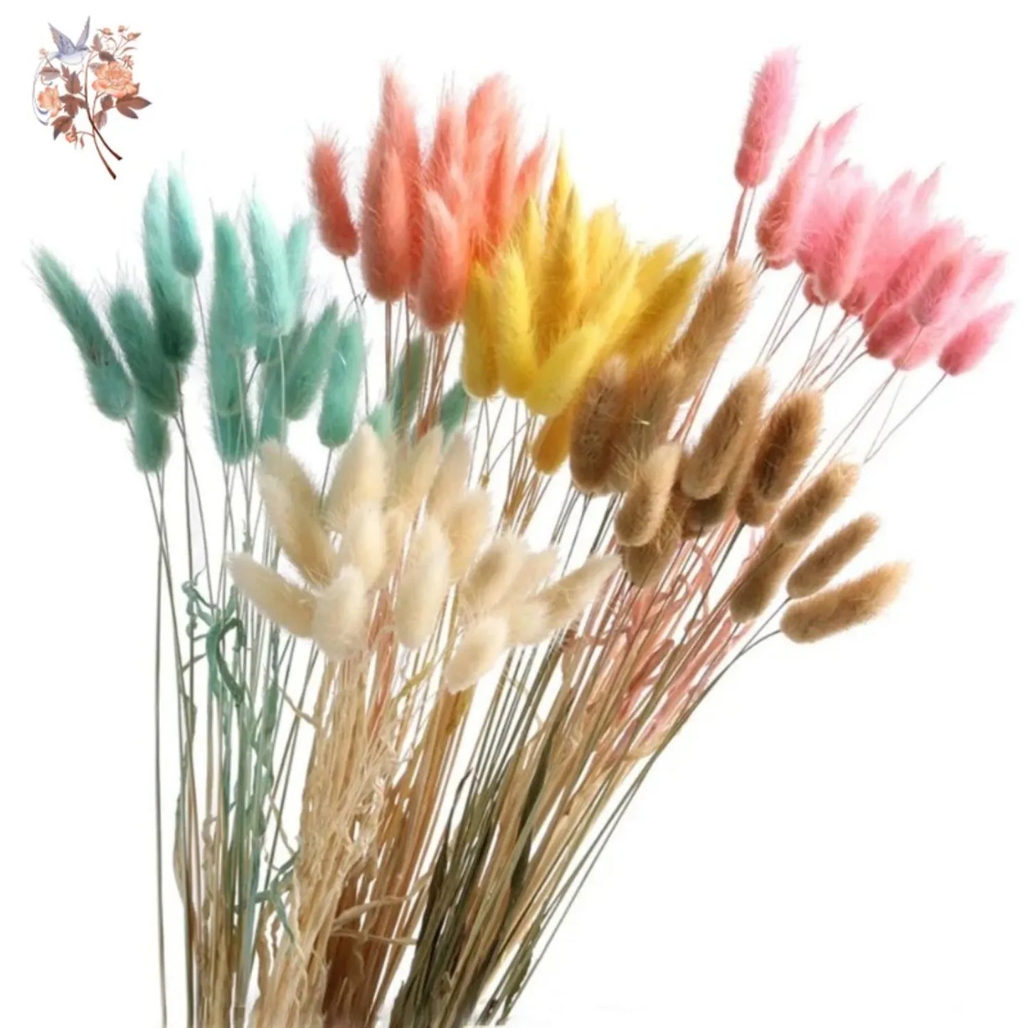 Hemasa 20/50Pcs Natural Rabbit Tail Grass Colorful Dried Flowers Bouquets Bunny Tails Lagurus Ovatus Photo Prop Home Wedding Decoration