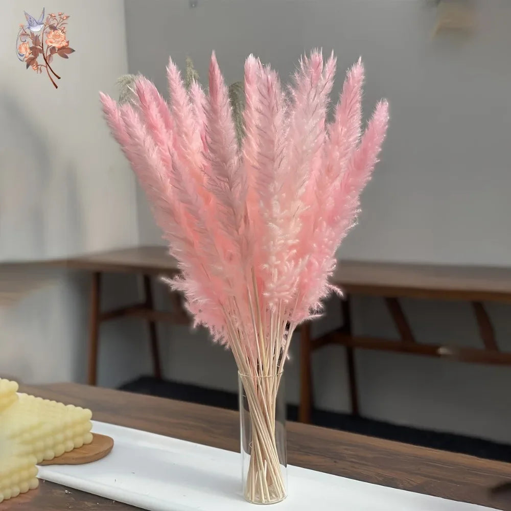 Natural Pink Pampas Grass Dried Flowers Fluffy Bulrush Home Boho Vase Decor Phragmites Reeds Wedding Christmas New Year DIY Gift