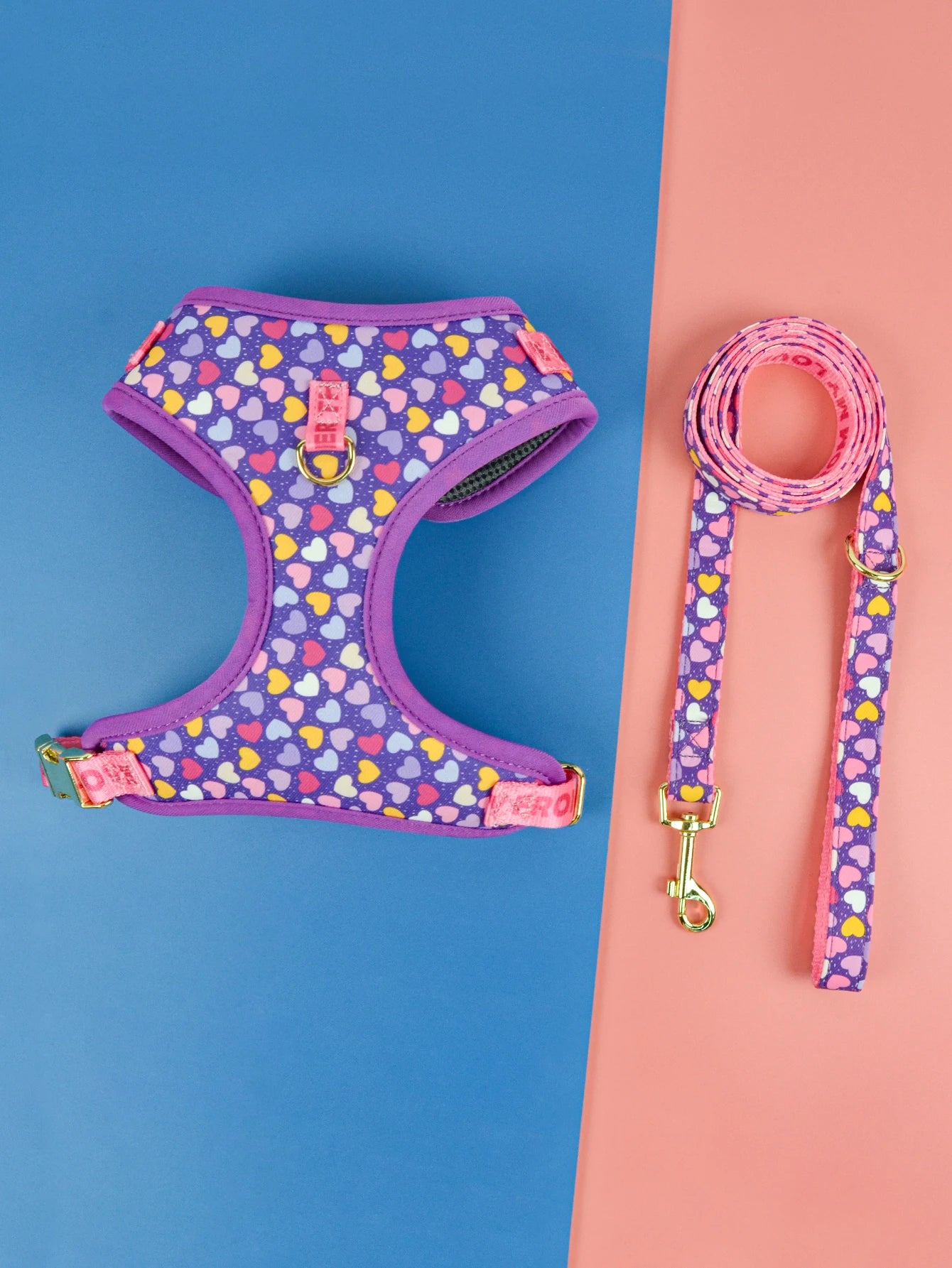 Valentine's Day and New Year's gift Cute Design Adjutable Luxury Designer Pet Harness &1 Pcs Color Matching Pet Dog Leashes