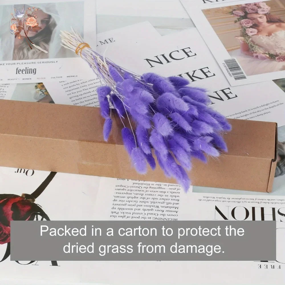 100Pcs Natural Purple Bunny Tails Dried Flowers Bouquet Rabbit Tail Grass Home Wedding Floral Arrangement DIY Craft Decoration