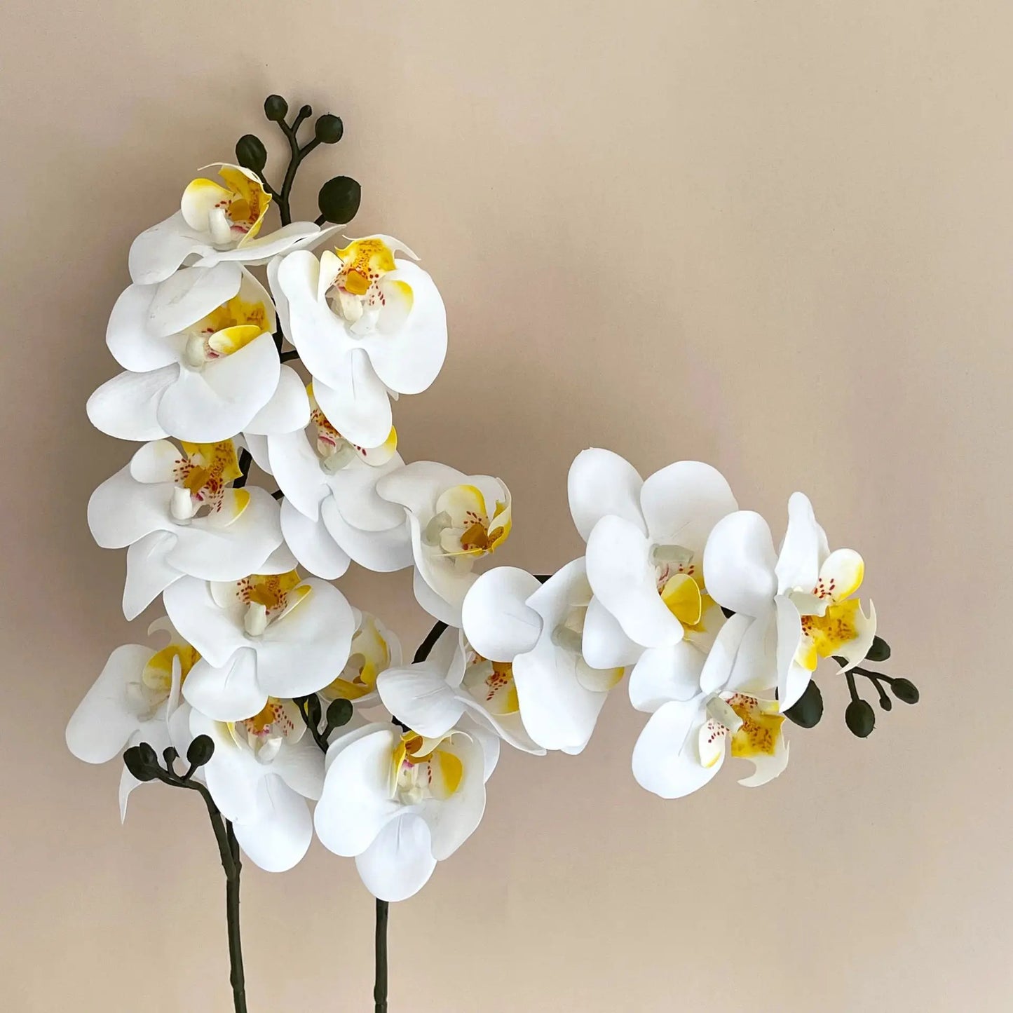 5Pc 3D Print Film Phalaenopsis Artificial Flowers Real Touch Orchids Home Decor Wedding Road Leads Flower Arrangement Bouquet