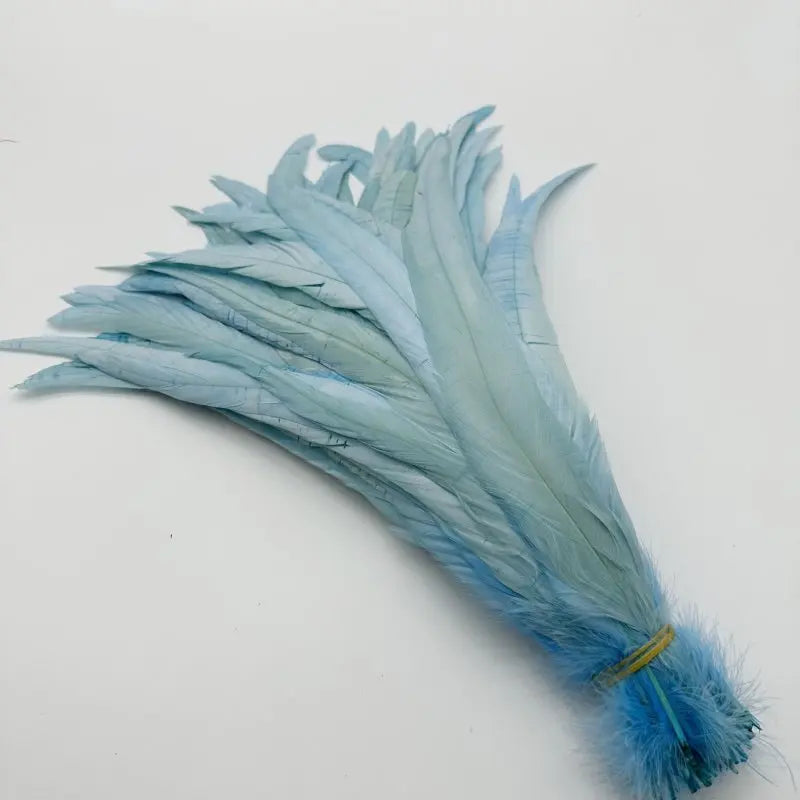 Tejesa  100pcs 30-35CM Rooster Tail Feathers Sky Blue Natural  Plumes Beige DIY Cock Clothing Jewelry Accessories Party