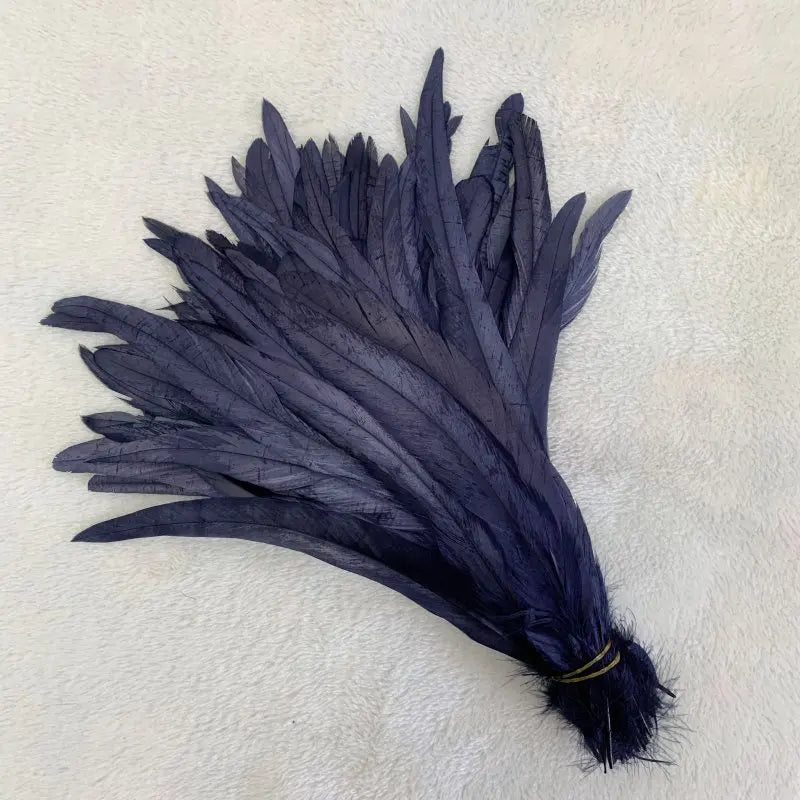 Tejesa  100pcs 30-35CM Rooster Tail Feathers Sky Blue Natural  Plumes Beige DIY Cock Clothing Jewelry Accessories Party