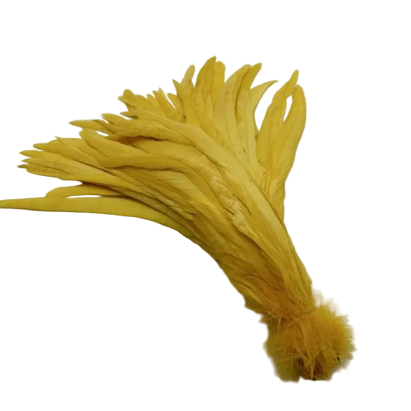 Tejesa  100pcs 30-35CM Rooster Tail Feathers Sky Blue Natural  Plumes Beige DIY Cock Clothing Jewelry Accessories Party