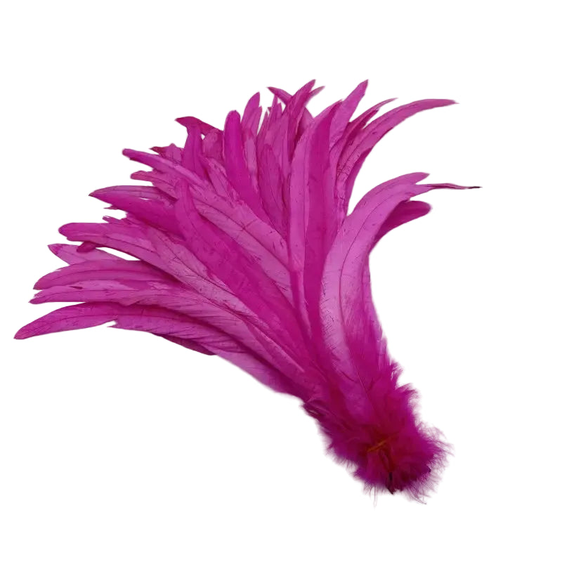 Tejesa  100pcs 30-35CM Rooster Tail Feathers Sky Blue Natural  Plumes Beige DIY Cock Clothing Jewelry Accessories Party