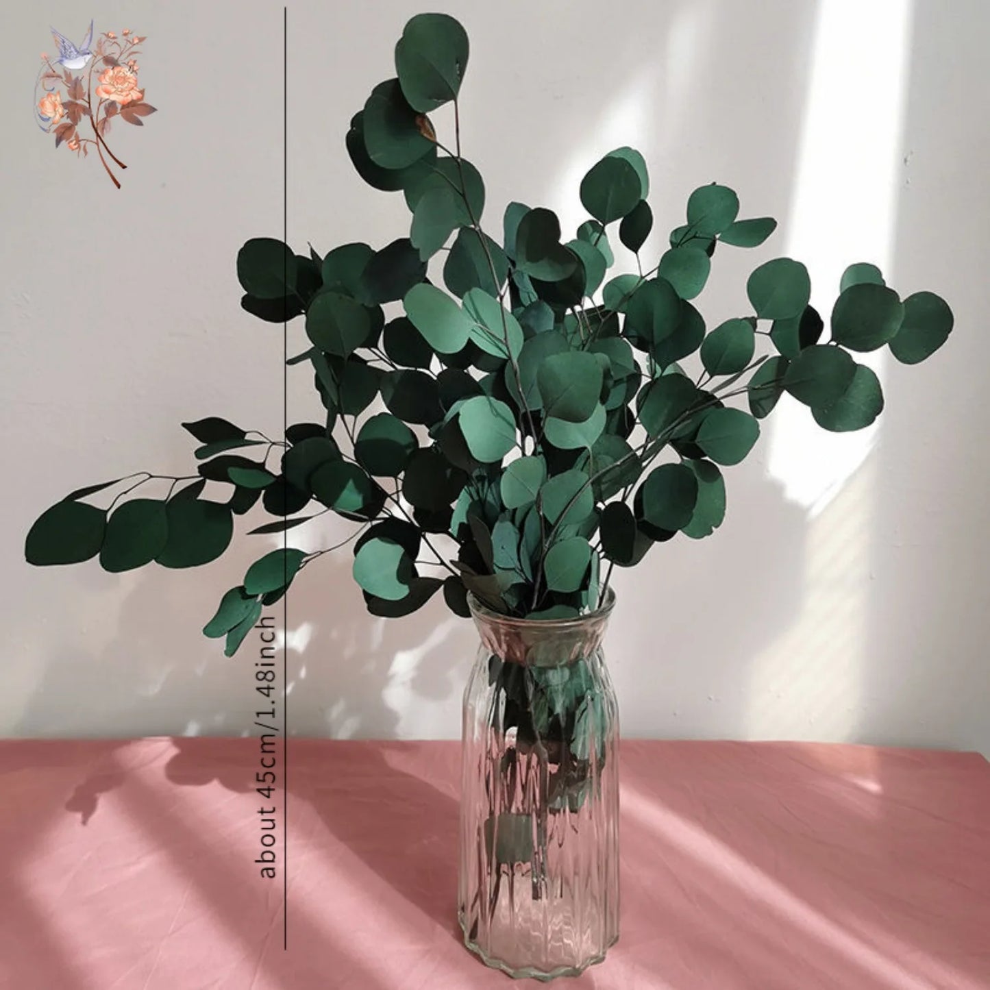 100g Eucalyptus Apple Leaf Natural Dried Flower Round Leaves Real Grass Fresh Plant Bouquets Wedding Home Living Room Decoration