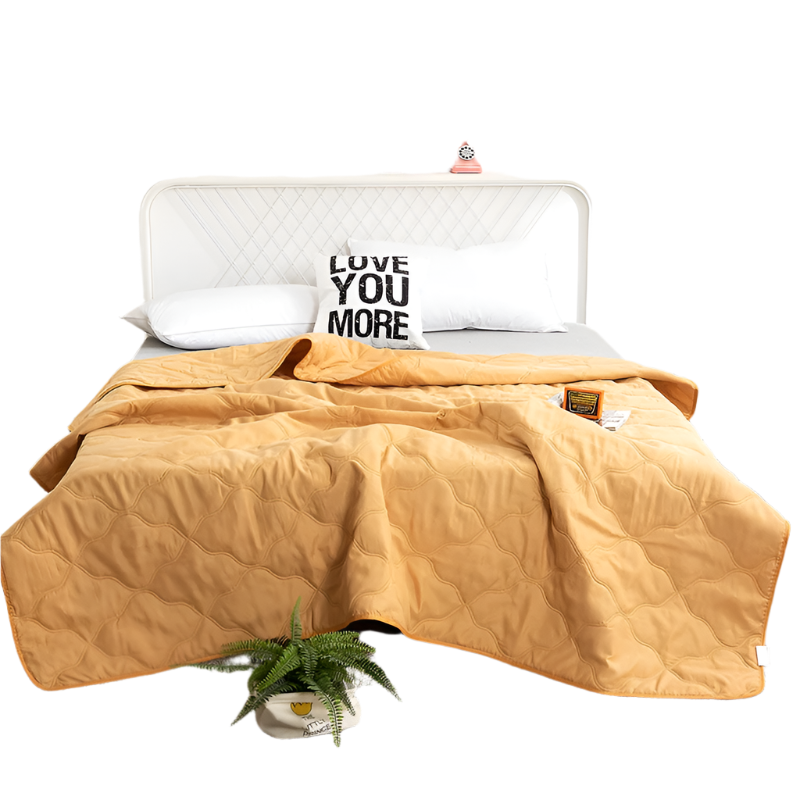 Hemasa  Silk  Thin Quilt Summer Blanket  Single/Queen/King