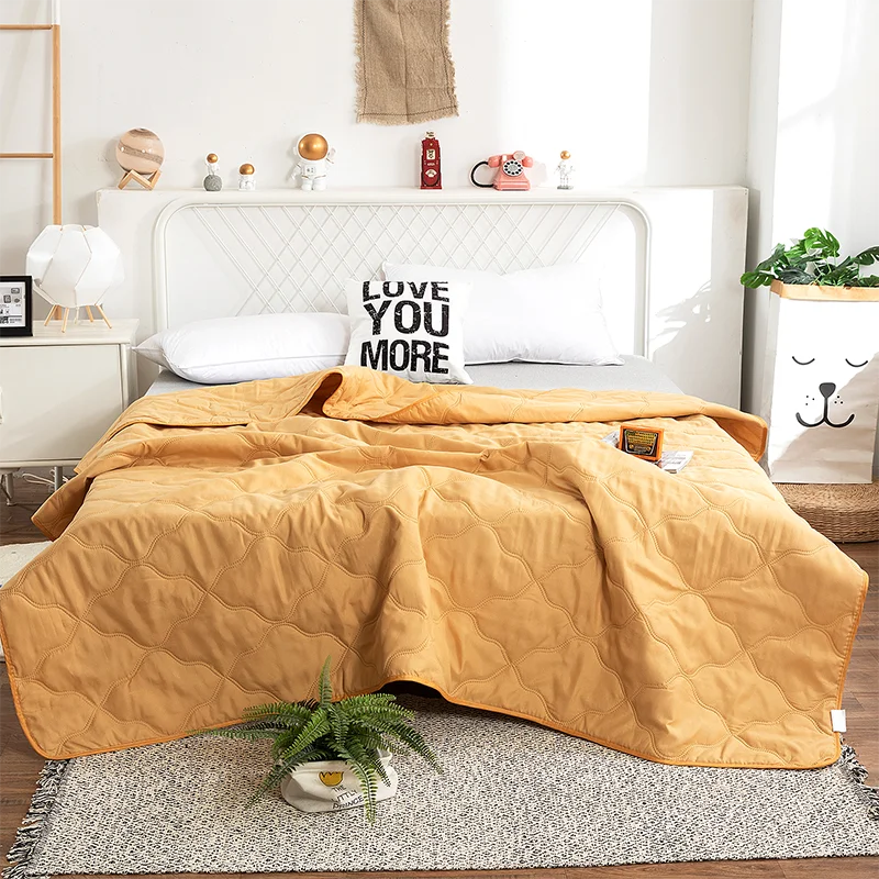 Hemasa  Silk  Thin Quilt Summer Blanket  Single/Queen/King