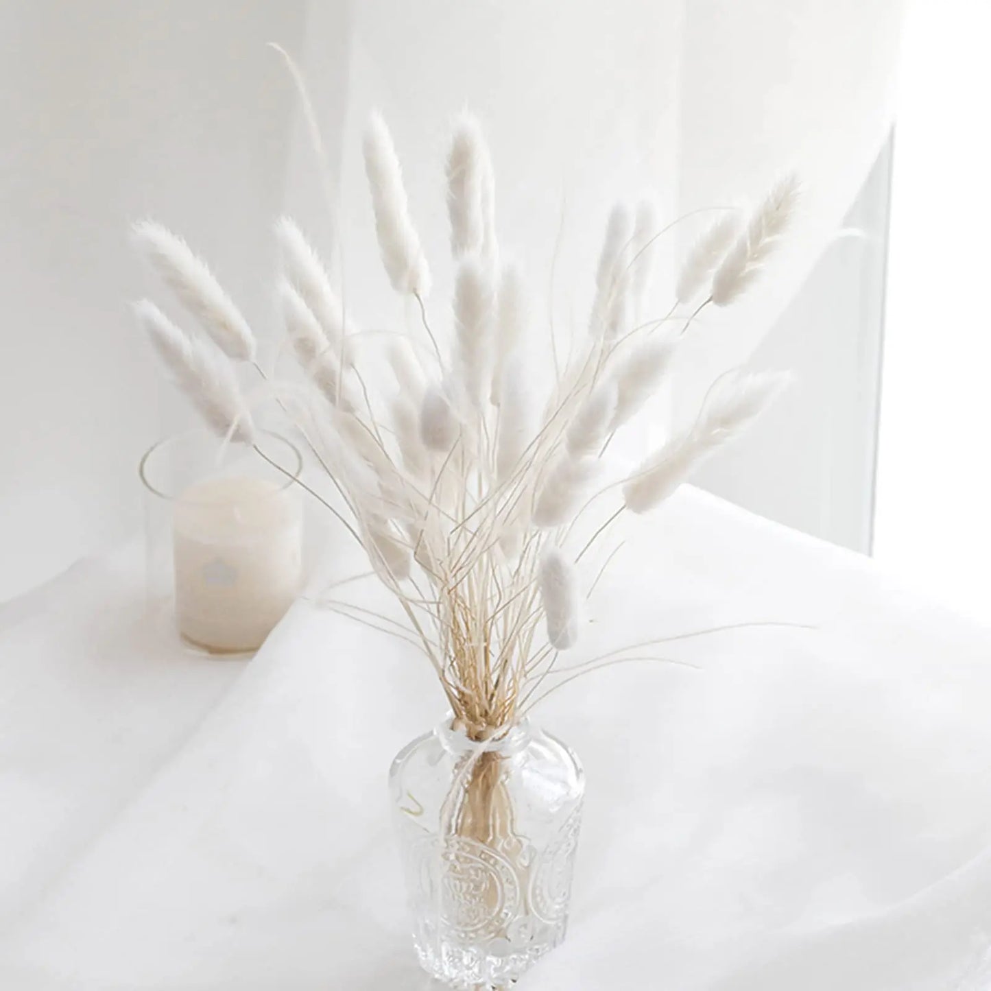 Hemasa Bunny Tails Dried Flowers, Natural Dry Pampas,Eternal Rabbit Tails Grass for Vase,Arrangement Wedding,Home,Hotel Decoration
