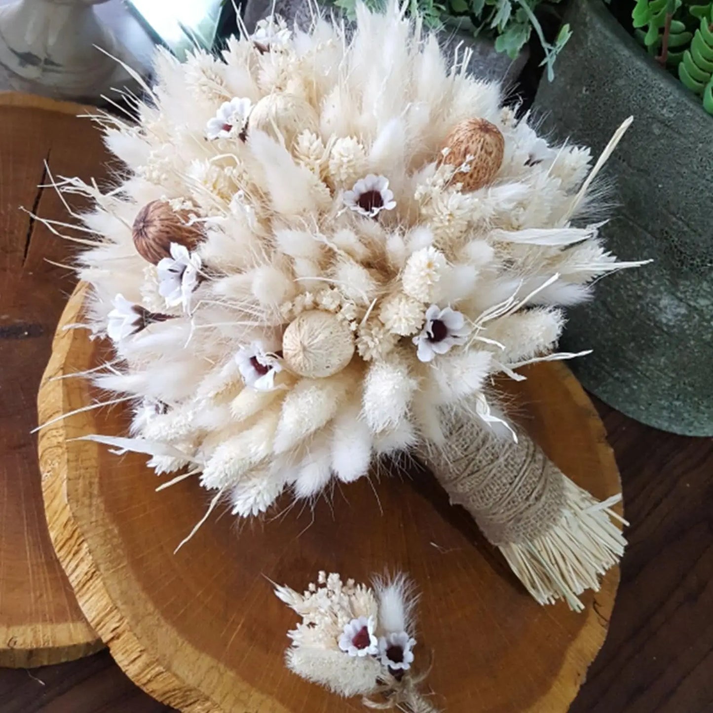 Hemasa Bunny Tails Dried Flowers, Natural Dry Pampas,Eternal Rabbit Tails Grass for Vase,Arrangement Wedding,Home,Hotel Decoration