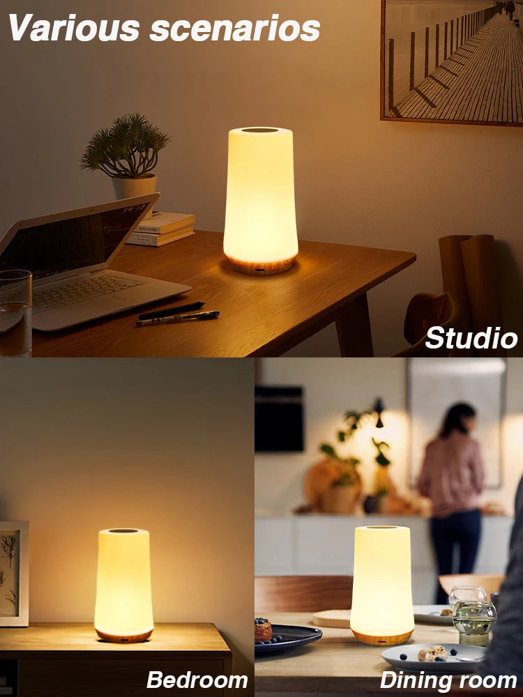 Hemasa  LED Night Light 13 Color Changing RGB Table Lamp Remote Control Touch Rechargeable RGB Night Lamp Dimmable Bedside Light