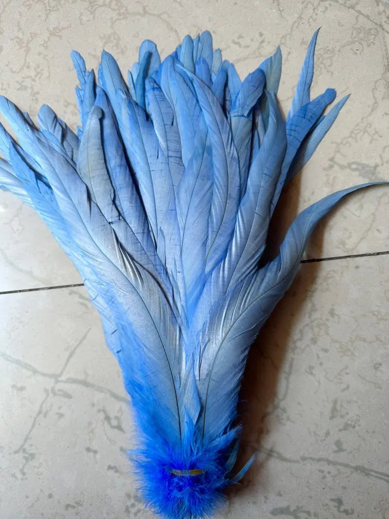 Tejesa  100pcs 30-35CM Rooster Tail Feathers Sky Blue Natural  Plumes Beige DIY Cock Clothing Jewelry Accessories Party