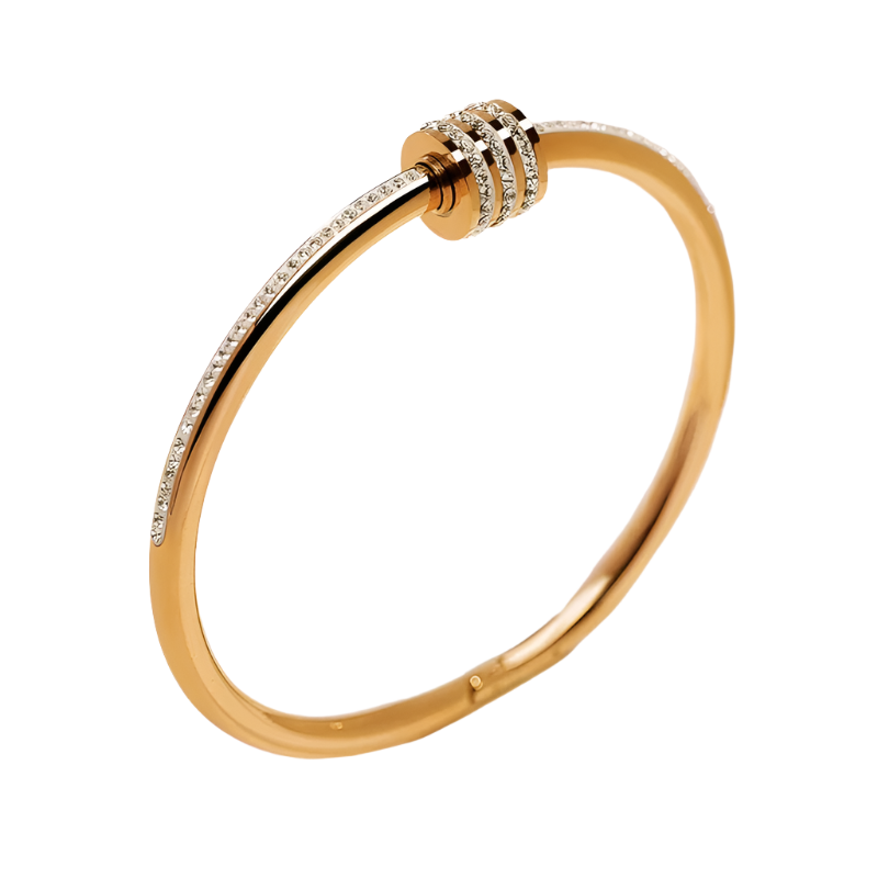 Hemasa  Classic Stainless Steel Zircon Bangle For Women /Circular Screw Bracelet