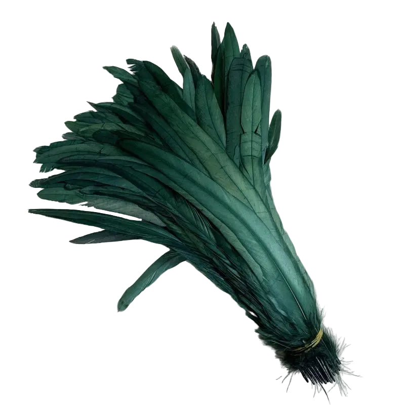Tejesa  100pcs 30-35CM Rooster Tail Feathers Sky Blue Natural  Plumes Beige DIY Cock Clothing Jewelry Accessories Party