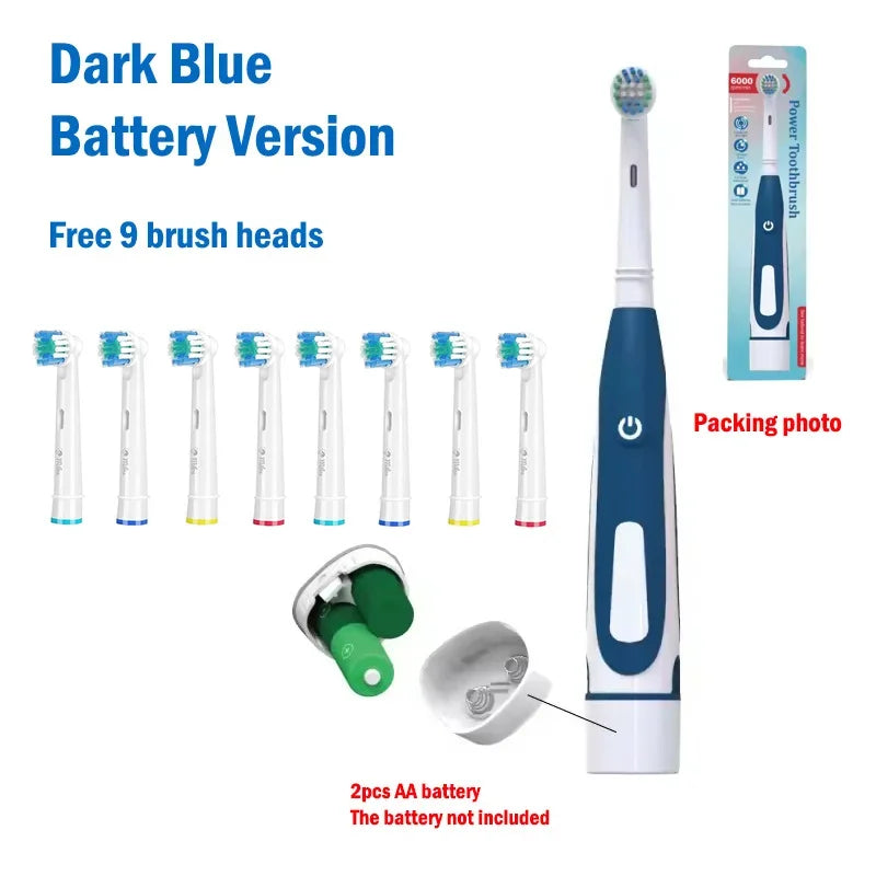 Sonic Electric Toothbrush Rounded 3D Vibrate Teeth Brush Rotation Gum Care Soft Bristle Heads Battery Power Teeth Whitening
