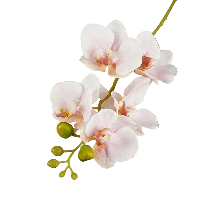 Tejesa 3 Pcs Artificial  Plastic Orchids Plastic Phalaenopsis  Artificial Flowers