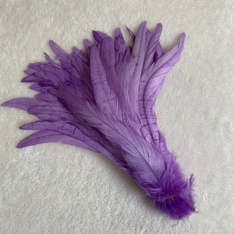 Tejesa  100pcs 30-35CM Rooster Tail Feathers Sky Blue Natural  Plumes Beige DIY Cock Clothing Jewelry Accessories Party