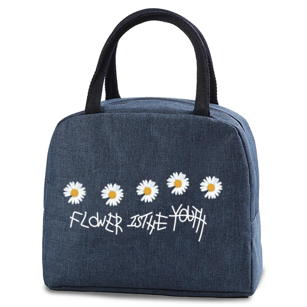 Tejesa Lunch dinner Picnic Bag Insulated bag Cooler Tote Portable Canvas Thermal Cold Food Container For men women Kids Travel Handbag