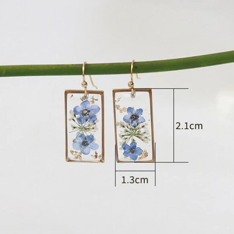 48830008230220