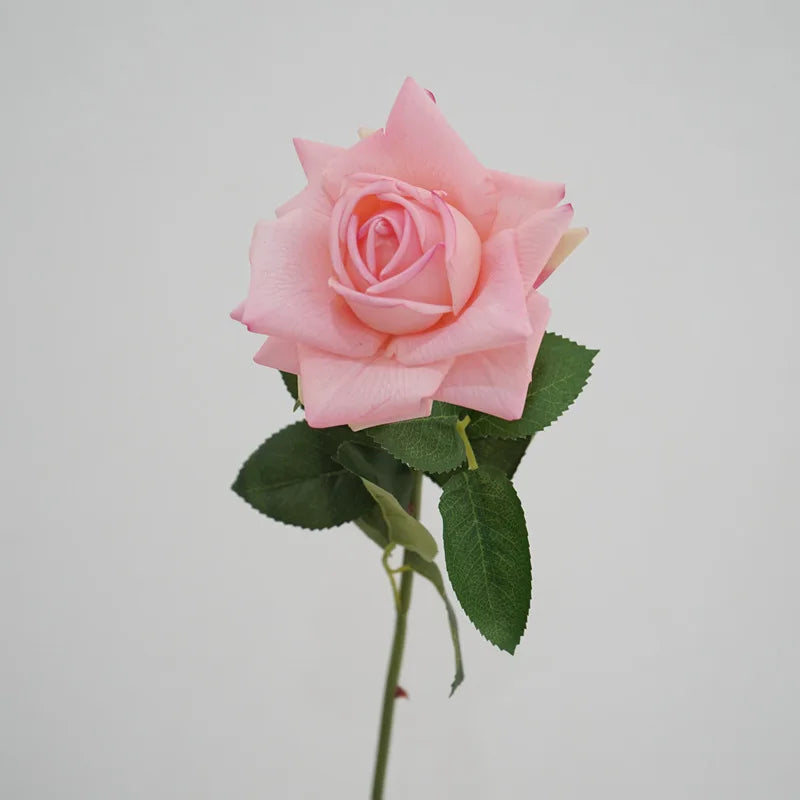5Pc High-end Feel Moisturizing Big Austin Rose Flower Real Touch Artificial Flowers Rose Wedding Decor Fake Flowers Home Display