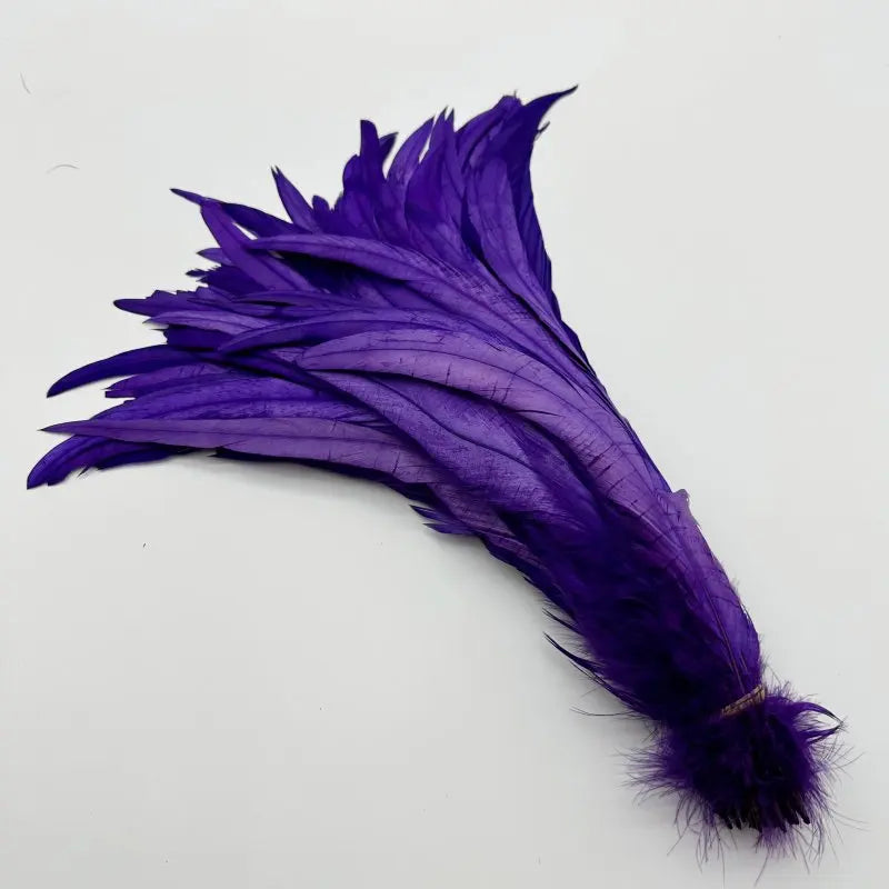 Tejesa  100pcs 30-35CM Rooster Tail Feathers Sky Blue Natural  Plumes Beige DIY Cock Clothing Jewelry Accessories Party