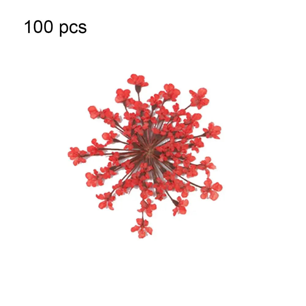 48163395666252