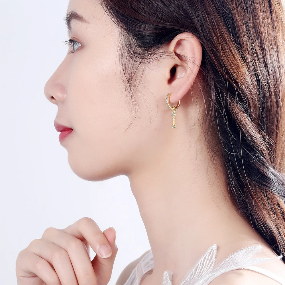 925 Sterling Silver Animal Earring Mosaic CZ Zirconia Fish Drop Earrings For Women Earrings Pendant Earrings