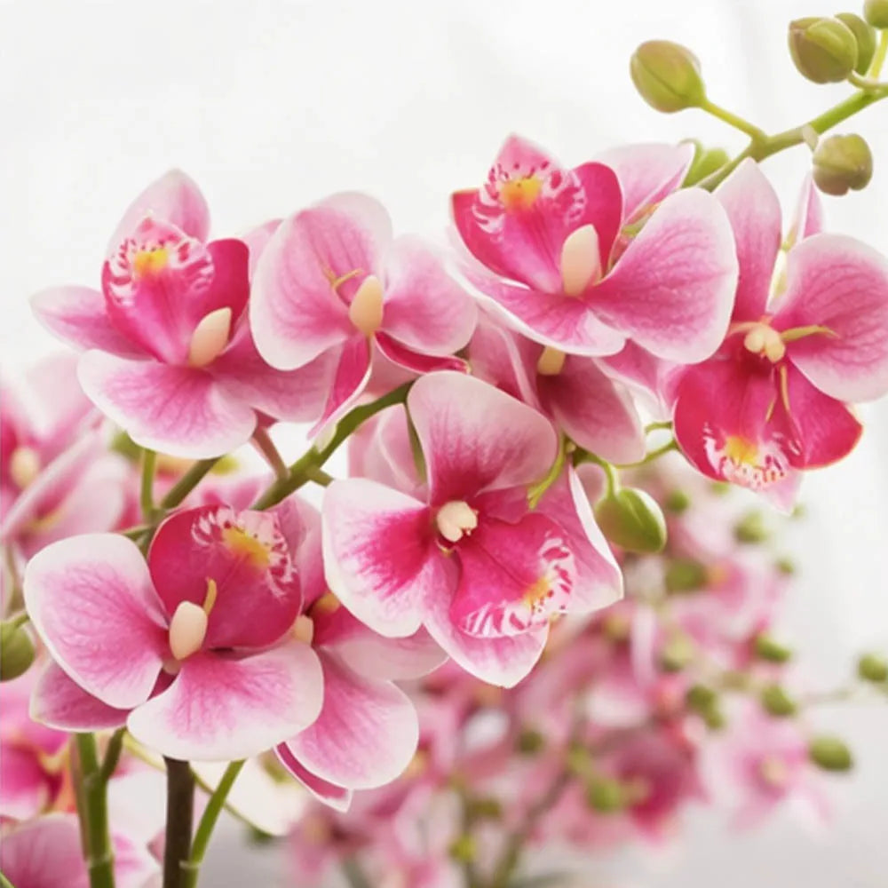 16'' Artificial Phalaenopsis Fake Flower Bonsai Desktop Faux Orchid in Pot for Home Living Room Kitchen Office Indoor Decoration