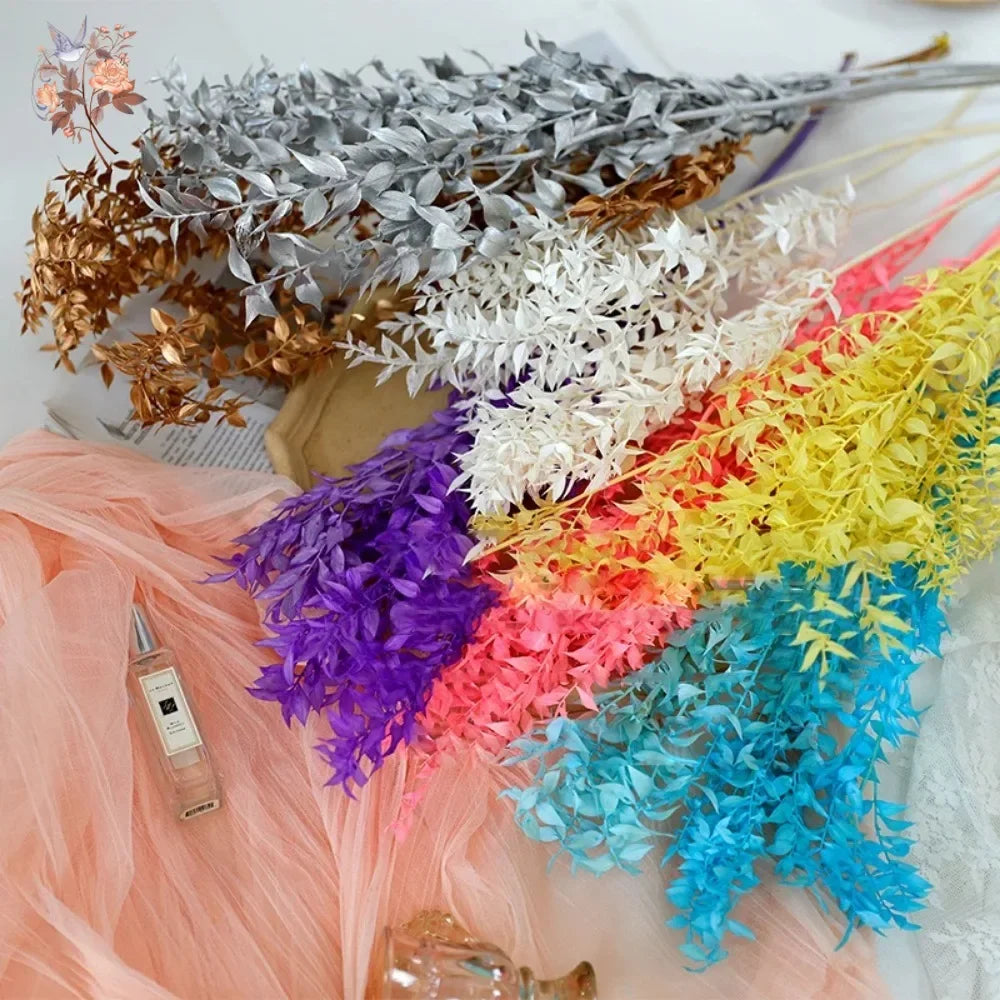 20-60g Dried Flowers Ruscus Eucalyptus Leaves Bouquet Home Decor Natural Preserved Plant Branch Stems Garden Wedding Decoration