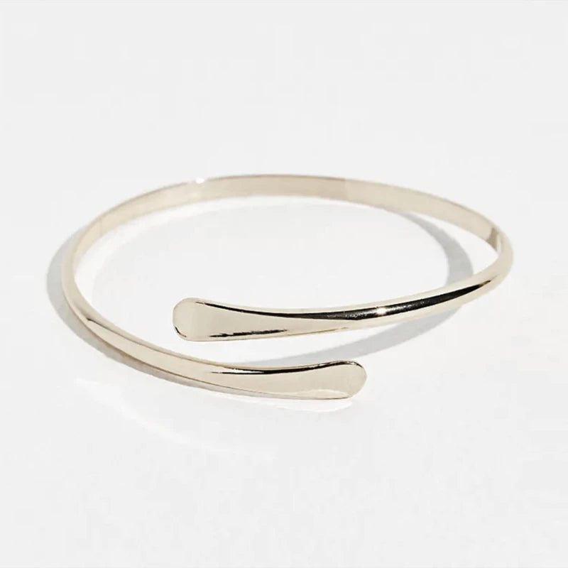 Hemasa 2 Pcs Adjustable Spiral Upper Arm Cuff Armband Bangle for women/Girls
