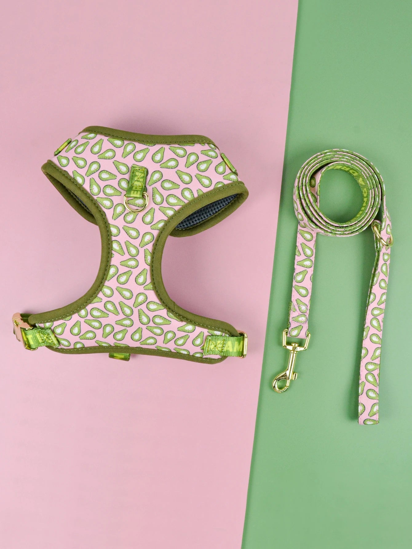 Valentine's Day and New Year's gift Cute Design Adjutable Luxury Designer Pet Harness &1 Pcs Color Matching Pet Dog Leashes