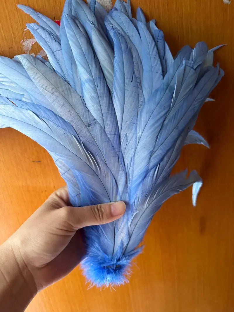Tejesa  100pcs 30-35CM Rooster Tail Feathers Sky Blue Natural  Plumes Beige DIY Cock Clothing Jewelry Accessories Party