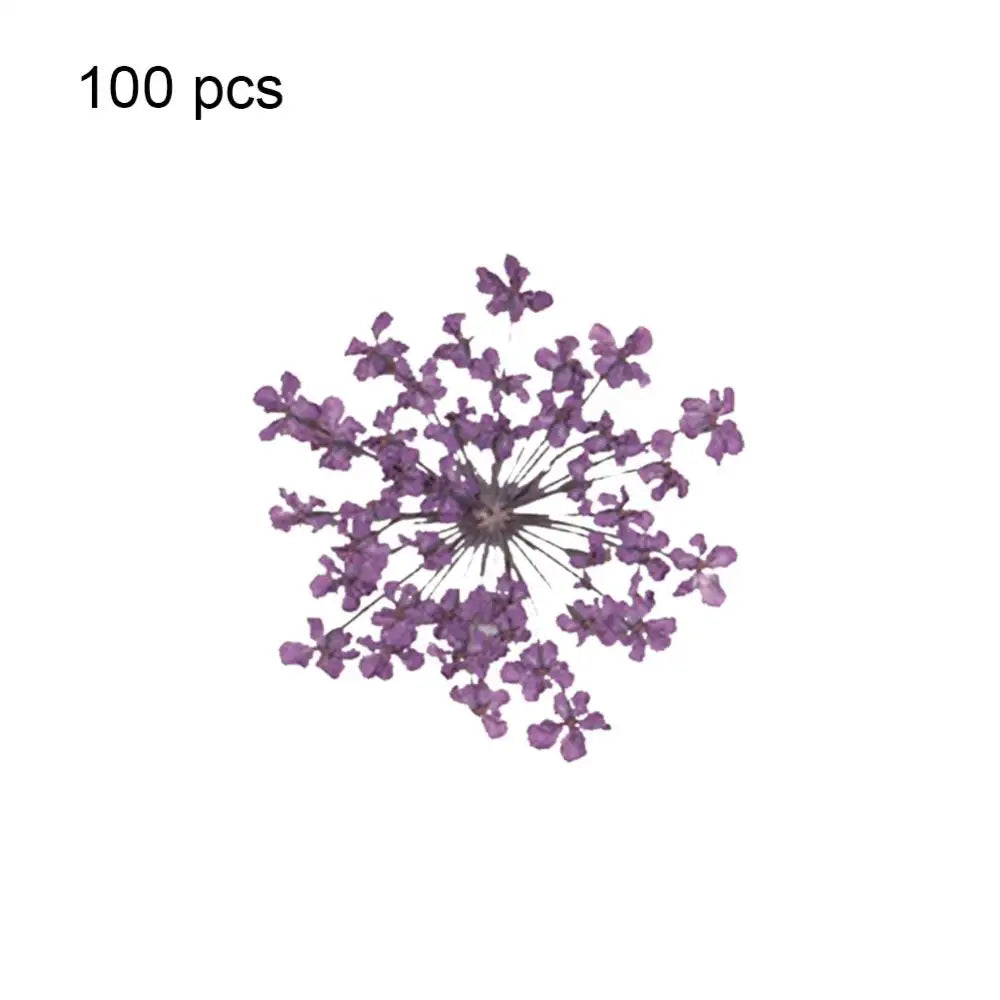 48163395535180