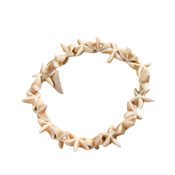 Hemasa Handmade Bohemian Shell Beads Bracelets For Women Men Sea Star Turtle Conch Woven Rope Bracelet Friendship Beach Jewelry