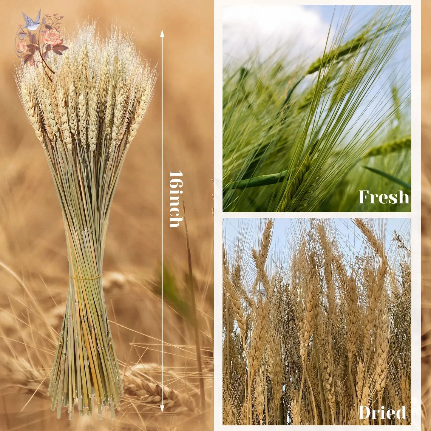 50/100Pcs Real Wheat Ear Natural Dried Bunny Tail Grass Boho Dried Flowers Wedding Party Decor Home DIY Craft Bouquet Decoration