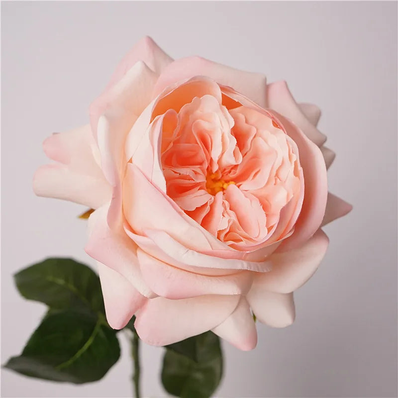 5Pc Moisturizing Austin Rose Real Touch Artificial Flowers Luxury Home Decoration Party Event Wedding Bouquet Fake Flowers Roses